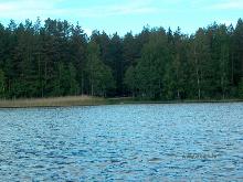 fotogrāfija