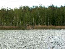 fotogrāfija