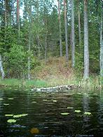 fotogrāfija