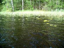 fotogrāfija