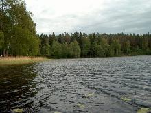 fotogrāfija