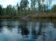 fotogrāfija