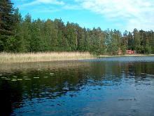 fotogrāfija