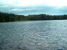fotogrāfija