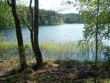 fotogrāfija