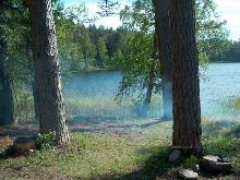 fotogrāfija
