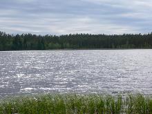 fotogrāfija