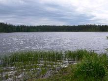 fotogrāfija