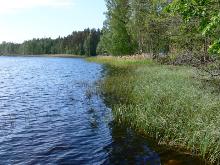 fotogrāfija
